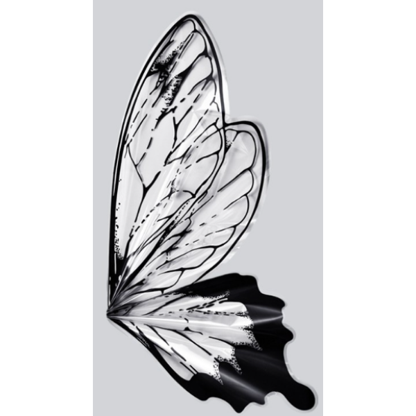 Butterfly Wrapping Paper | 20 Sheets